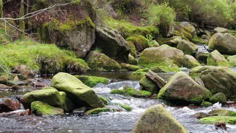 Cascada-De-Arroyo-Forestal-De-Movimiento-Lento,-Escena-De-Serenidad-De-La-Naturaleza-Con-Una-Tranquila-Piscina-Debajo,-Exuberante-Vegetación-Y-Piedras-Cubiertas-De-Musgo,-Sensación-De-Tranquilidad-Y-Belleza-Intacta-De-La-Naturaleza-En-El-Ecosistema-Forestal