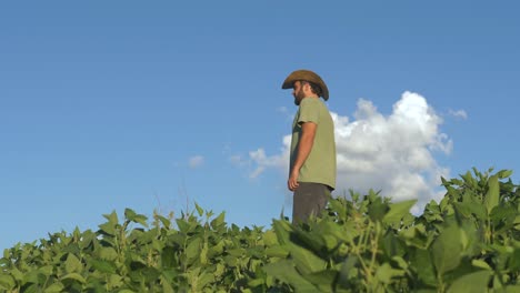 Ein-Mann,-Der-An-Einem-Sonnigen-Tag-Auf-Einem-Sojabohnen-Plantagenfeld-Einen-Hut-Trägt---Brasilien-Auf-Dem-Land