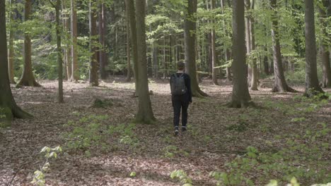 Young-girl-with-a-backpack-goes-for-a-walk-in-the-forest-in-spring-weather