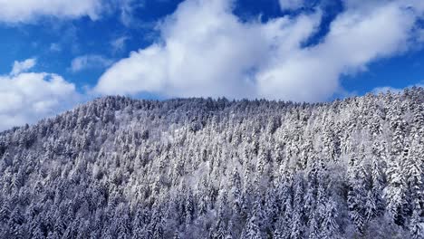 Drone-ascending-view-above-snow-covered-mountain-trees-during-springtime-with-blue-sky-and-big-clouds