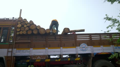 Indian-forest-workers-carrying-wooden-logs-onto-a-truck-in-forested-regions-of-South-India