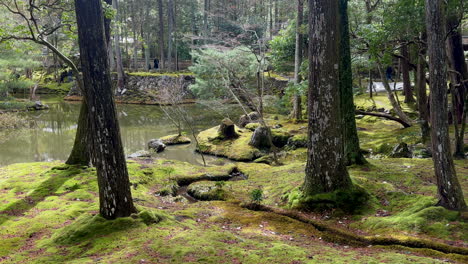 Walk-near-the-ancient-creek-at-Saihōji-Temple,-Kyoto-Japan