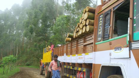 Trabajadores-Forestales-Indios-Cargando-Troncos-De-Madera-En-Un-Camión-En-Regiones-Boscosas-Del-Sur-De-La-India