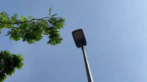 LED-Lampe-In-Der-Nähe-Von-Grünen-Baum-Bei-Blauem-Himmel