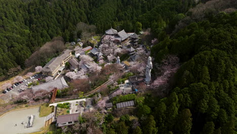 Aerial-View-Of-Tsubosakadera-Buddhist-Temple-With-Cherry-Blossoms-In-Spring-In-Takatori,-Nara,-Japan