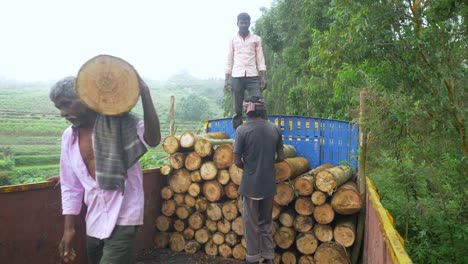 Indische-Waldarbeiter-Tragen-Holzstämme-Auf-Einen-LKW-In-Waldgebieten-Im-Süden-Indiens