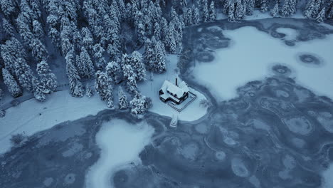 Bosque,-árbol,-Nieve,-Casa,-En-Turquía