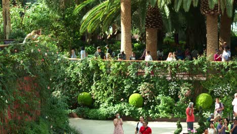 People-visiting-and-exploring-the-Singapore's-popular-tourist-attraction,-the-world's-largest-glass-greenhouse-known-as-the-Flower-Dome,-nestled-within-the-lush-conservatory-at-Gardens-by-the-Bay