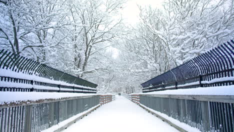 Nieve-Cayendo-Sobre-Un-Sendero-En-Un-Día-De-Invierno