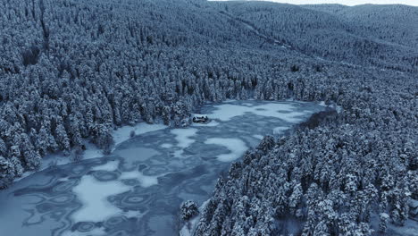 Wald,-Baum,-Schnee,-Haus,-In-Der-Türkei