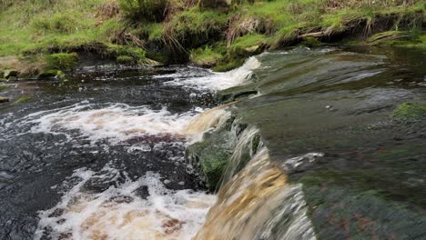 Langsam-Fließender-Waldbach-Wasserfall,-Ruhige-Szene-Der-Natur-Mit-Ruhigem-Teich-Darunter,-üppiges-Grün-Und-Moosbedeckte-Steine,-Gefühl-Der-Ruhe-Und-Unberührte-Schönheit-Der-Natur-Im-Waldökosystem