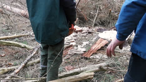 Two-lumberjacks-watching-cut-down-tree-falling