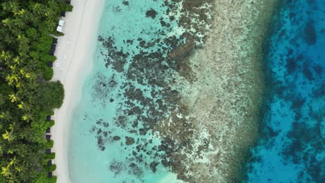 Top-down-aerial-drone-footage-flying-along-the-beach-and-clear-shallow-waters-of-the-local-island-of-Thinadhoo-in-the-Maldives-at-sunrise