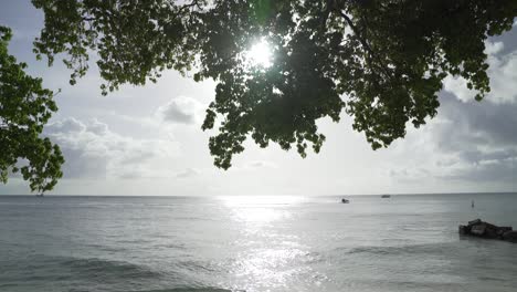 established-of-Caribbean-Sea-in-barbados-island-with-watercraft-riding