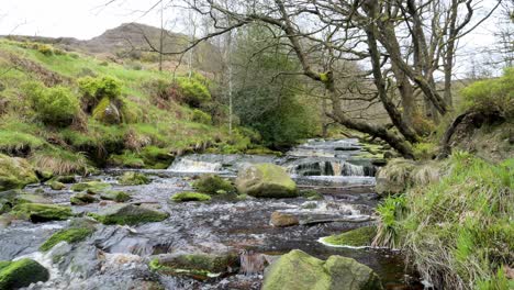 Slow-moving-forest-stream-waterfall,-nature's-serenity-scene-with-tranquil-pool-below,-lush-greenery-and-moss-covered-stones,-sense-of-peacefulness-and-untouched-beauty-of-nature-in-forest-ecosystem