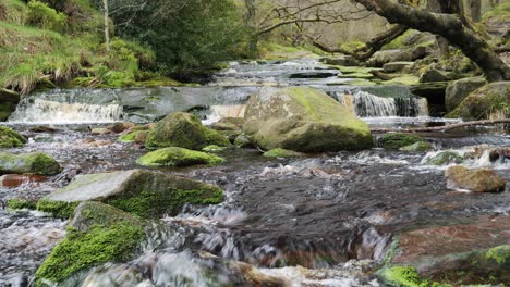 Slow-moving-forest-stream-waterfall,-nature's-serenity-scene-with-tranquil-pool-below,-lush-greenery-and-moss-covered-stones,-sense-of-peacefulness-and-untouched-beauty-of-nature-in-forest-ecosystem