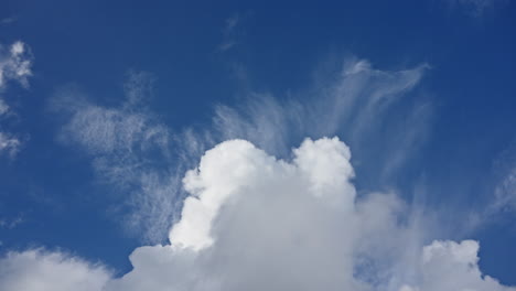 Upward-tele-view-of-pure-white-cotton-like-clouds-moving-in-blue-sky,-time-lapse