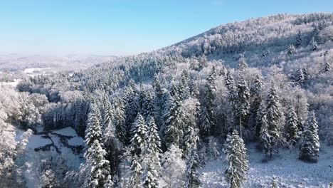 Forest-in-Winter-in-Switzerland-from-above