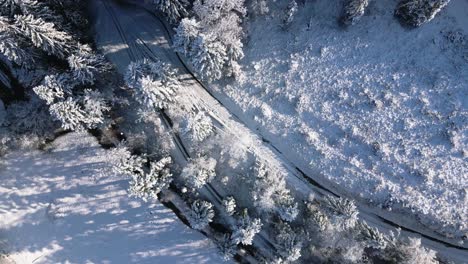 Bosque-En-Invierno-En-Suiza-Desde-Arriba