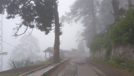 Carretera-De-Campo-Tropical-Brumoso-En-La-Cima-De-La-Montaña-Con-Bosques-Y-árboles-Verdes-Y-Naturales