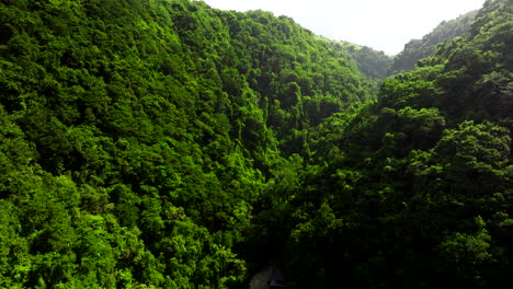 Indonesian-jungle,-vibrant-and-biologically-diverse-ecosystems,-aerial