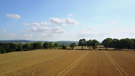 Kent-Countryside,-UK---Drone-flies-over-wheatfield-at-sunset