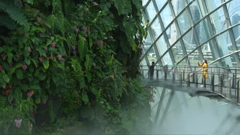 Turistas-Caminando-Por-La-Pasarela-Aérea-Del-Invernadero-Del-Bosque-Nuboso-En-Los-Jardines-Junto-A-La-Bahía-En-Singapur,-Rociando-Agua-Brumosa-Para-Controlar-La-Temperatura-Y-Crear-Un-Ambiente-Mágico