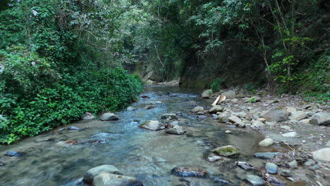 Río-Flotando-En-El-Paisaje-Tropical-De-La-República-Dominicana-En-El-Día-Nublado--Manglar-De-Manabao