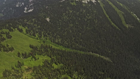 Mt-Revelstoke-BC-Canada-Aerial-v4-birds-eye-view-drone-flyover-forested-mountain,-tilt-up-reveals-scenic-landscape-of-alpine-meadows-and-stunning-summit-peaks---Shot-with-Mavic-3-Pro-Cine---July-2023