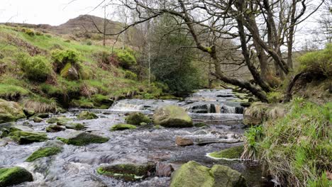 Slow-moving-forest-stream-waterfall,-nature's-serenity-scene-with-tranquil-pool-below,-lush-greenery-and-moss-covered-stones,-sense-of-peacefulness-and-untouched-beauty-of-nature-in-forest-ecosystem