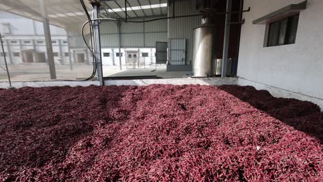 POV-SHOT-Worker-is-stacking-sawdust-next-to-machine