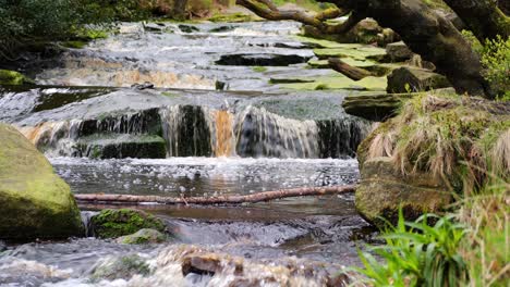 Slow-moving-forest-stream-waterfall,-nature's-serenity-scene-with-tranquil-pool-below,-lush-greenery-and-moss-covered-stones,-sense-of-peacefulness-and-untouched-beauty-of-nature-in-forest-ecosystem