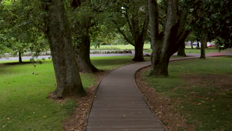 Walk-along-oak-trees-on-wooden-vista,-verdant-Cornwall-park,-recreational-area-in-Auckland
