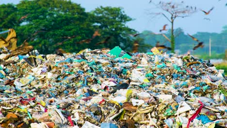 Crows-Flying-In-Landfill---Wide-Shot