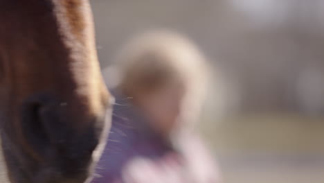 Mujer-Cerca-De-Caballo-Procesa-Sentimientos-Con-Los-Ojos-Cerrados,-Terapia-Facilitada-Por-Equinos