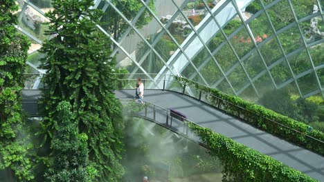 People-walking-on-the-aerial-walkway-of-cloud-forest-greenhouse-conservatory-at-Gardens-by-the-bay-in-Singapore,-misty-water-spray-for-temperature-control,-create-a-magical-and-mysterious-environment