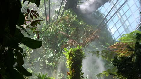 Mysterious-landscape-of-the-lost-world-cloud-forest-greenhouse-conservatory-at-Garden-by-the-bay,-misty-environment-with-lush-tree-canopy-and-people-walking-on-the-aerial-walkway,-tilt-up-shot