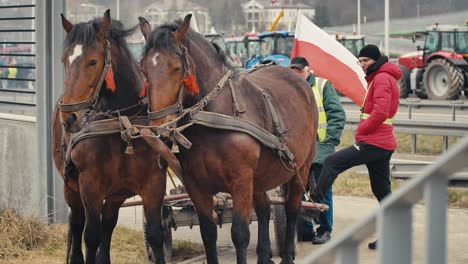 Farmers'-protest-in-Europe-in-Poland