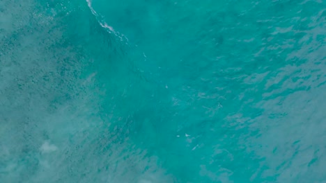 Top-Down-Slow-Motion-Drone-View-of-turquoise-clear-water-and-crashing-waves-over-shallow-coral-reef-in-Uluwatu-Bali-Indonesia