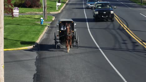 Carruaje-De-Caballos-Amish-En-La-Calle-Entre-Coches-En-La-Ciudad-Americana-Durante-El-Día-Soleado