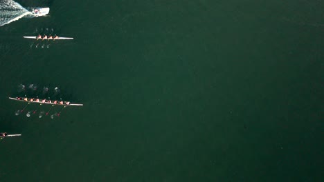 Rowing-Teams-Competing-At-Dragon-Boat-Race-In-Marina-del-Rey,-Los-Angeles,-California