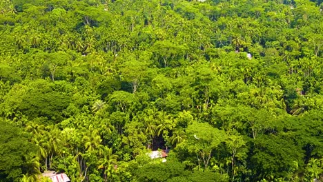 Remote-Indigenous-Village-Houses-inside-Tropical-Forest,-Aerial-Slide