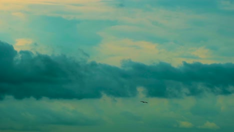 Silhouette-Of-Bird-In-Twilight-Sky---Low-Angle-Shot