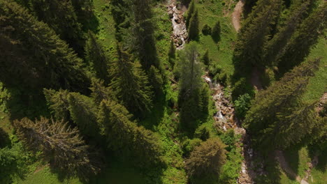 Antena-De-Un-Pequeño-Arroyo-De-Montaña-Rodeado-Por-Un-Bosque-Verde-Y-Una-Pradera