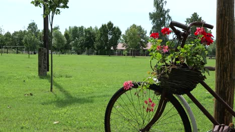 Vieja-Bicicleta-Con-Flores-En-Una-Canasta-De-Madera-En-La-Granja