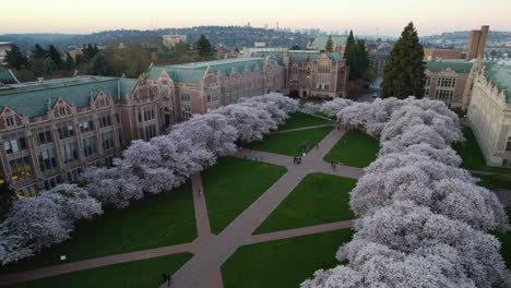 Drone-descending-in-front-of-the-Quad-park,-sunrise-at-the-University-of-Washington