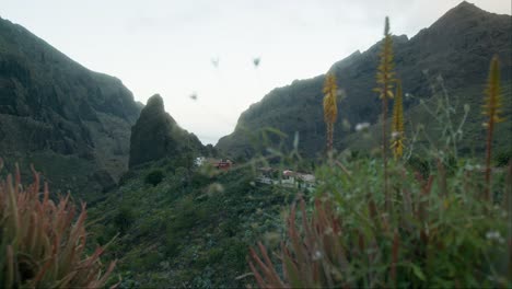 Pirate-Masca-village-revealed-behind-blooming-plants-on-Tenerife,-slow-panoramic-shot,-Canary-Islands-in-spring