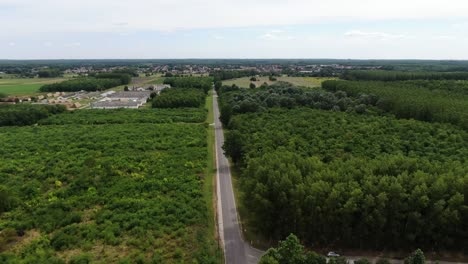 Straße-Zum-Dorf-Entlang-Des-Dichten-Waldes