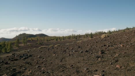 Rocky-volcanic-ground-and-green-pine-forest-in-spring,-Teide-Nation-park-on-Tenerife,-Canary-Islands