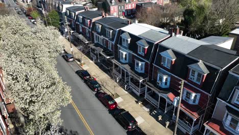 Amerikanische-Stadtstraße-Mit-Blühenden-Bäumen-Mit-Blumen-Im-Frühling